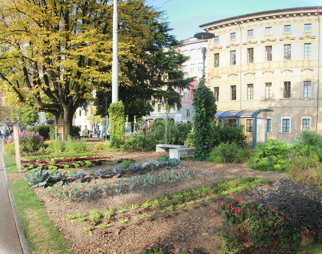 Lugano Council Overhauls Waste Management Contract: Residents Face New Collection Schedule Starting September