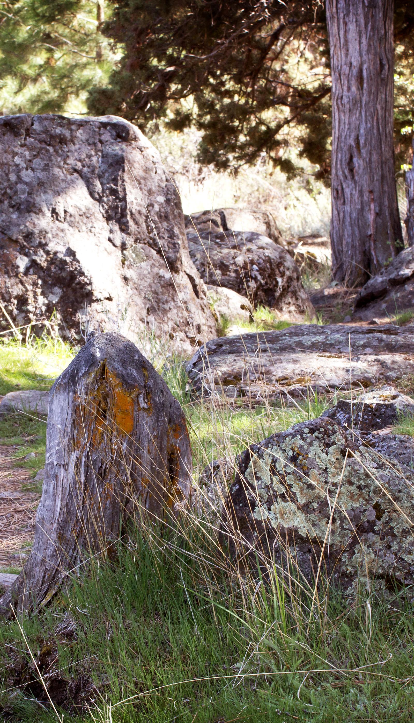 The Olive Grove Trail: A Short Walk between Castagnola and Gandria